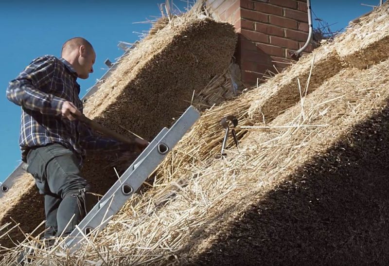 Clive Dodson Thatched Roofer