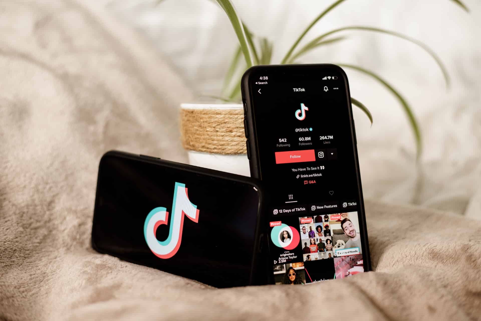 Is TikTok the right platform for my business?